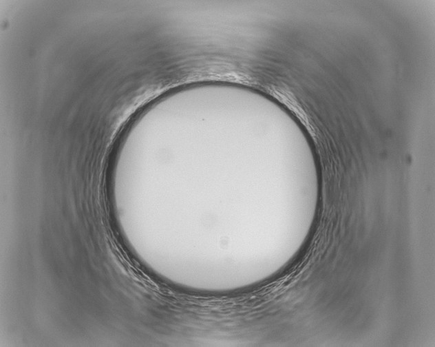 X0000086890579200704161008