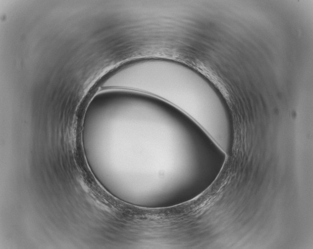 X0000086890580200704161008