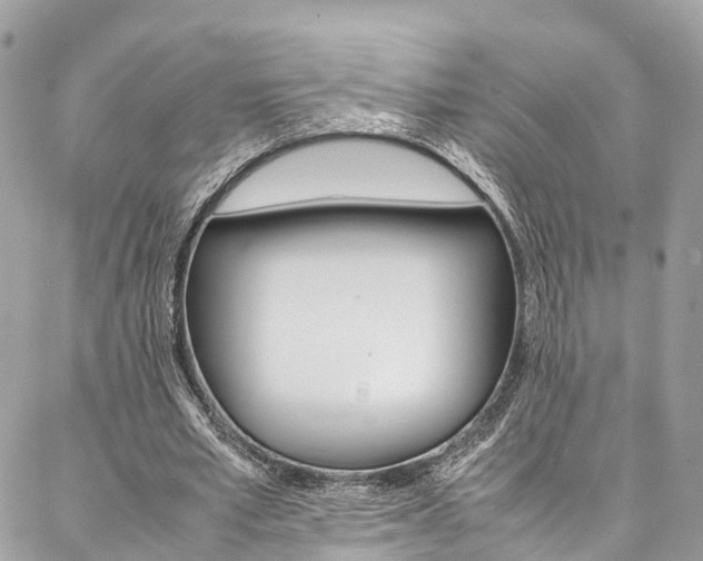 X0000086890581200704161008