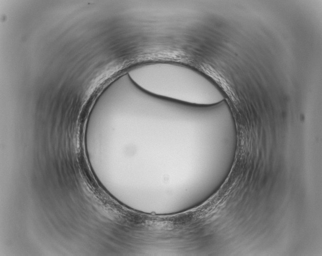 X0000086890582200704161008