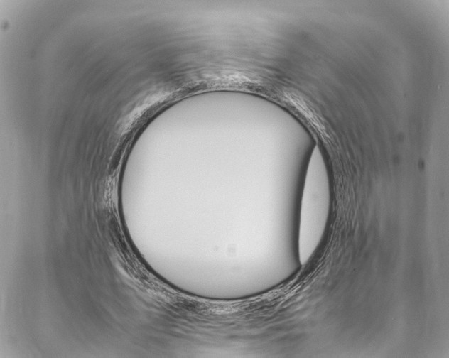 X0000086890583200704161008