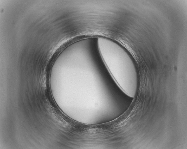 X0000086890584200704161008