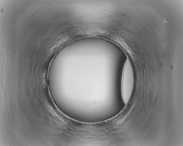 X0000086890585200704161008