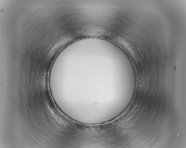 X0000086890586200704161008