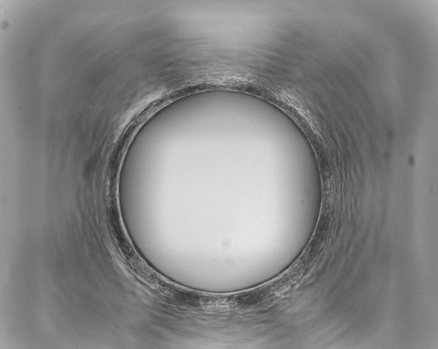 X0000086890587200704161008