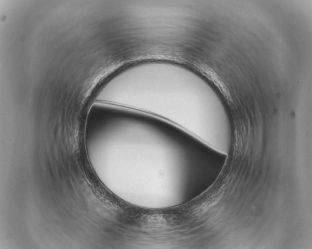 X0000086890588200704161008