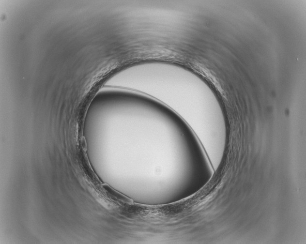 X0000086890589200704161008