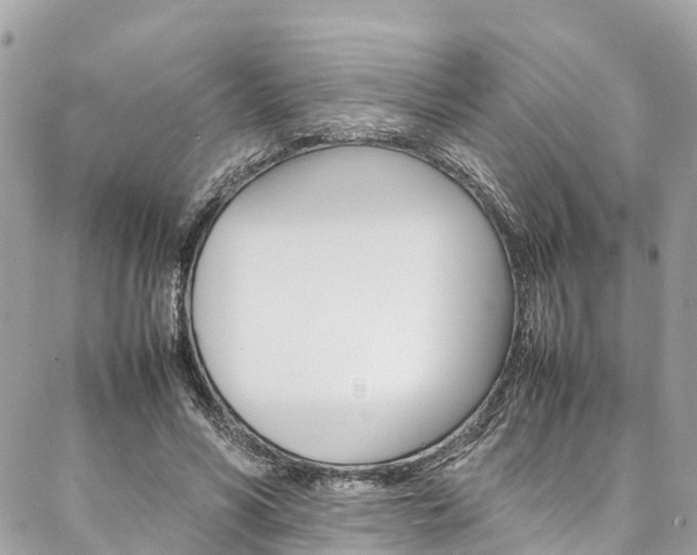 X0000086890590200704161008