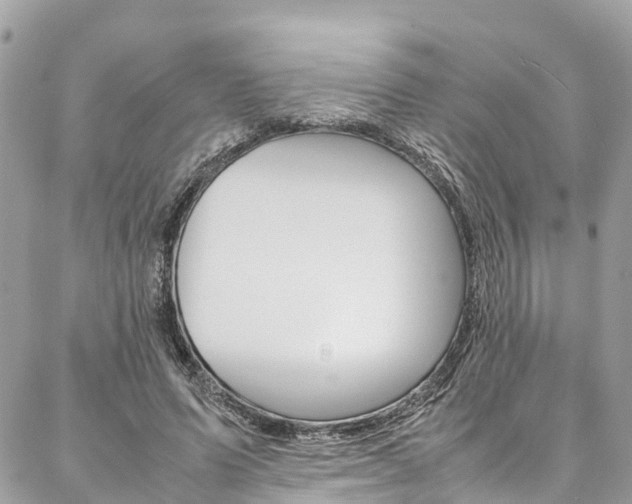 X0000086890591200704161008