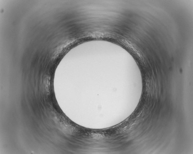 X0000086890592200704161008