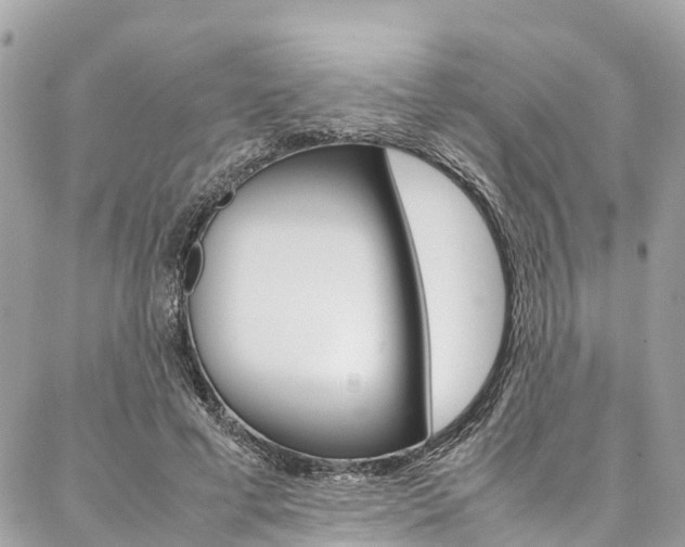 X0000086890593200704161008