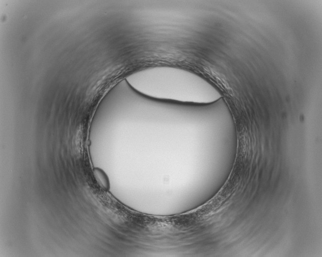 X0000086890594200704161008