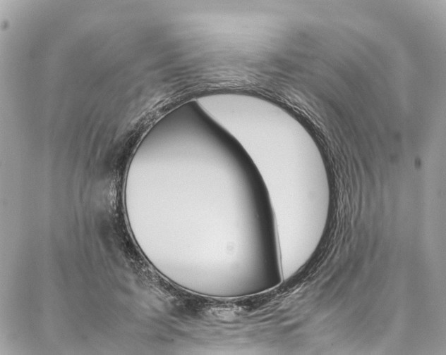 X0000086890595200704161008