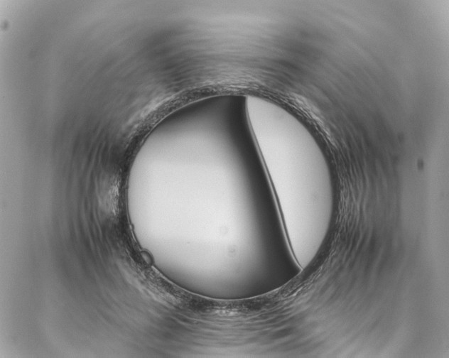 X0000086890596200704161008