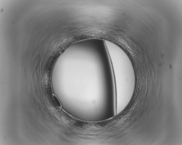 X0000086890597200704161008