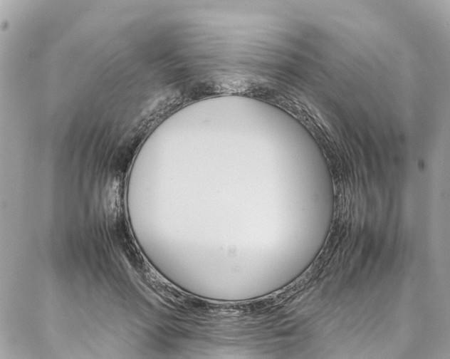 X0000086890598200704161008