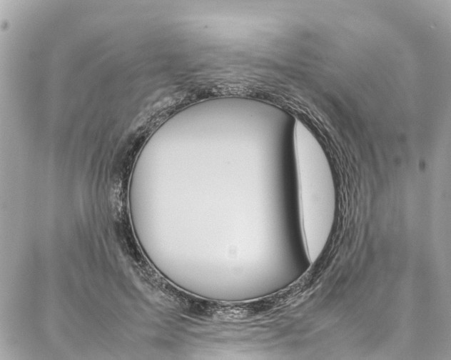 X0000086890599200704161008