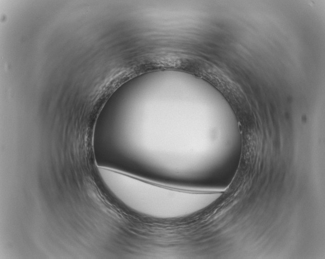 X0000086890600200704161008