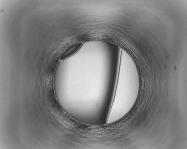 X0000086890601200704161007