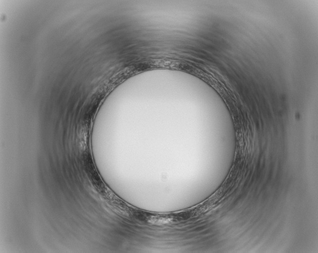 X0000086890602200704161007