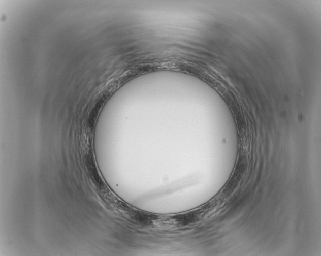 X0000086890603200704161007