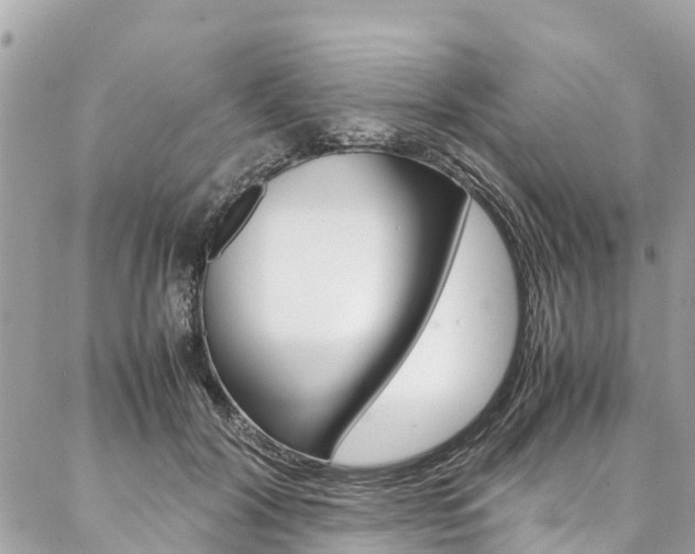 X0000086890604200704161007