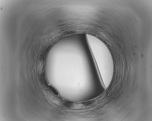 X0000086890605200704161007