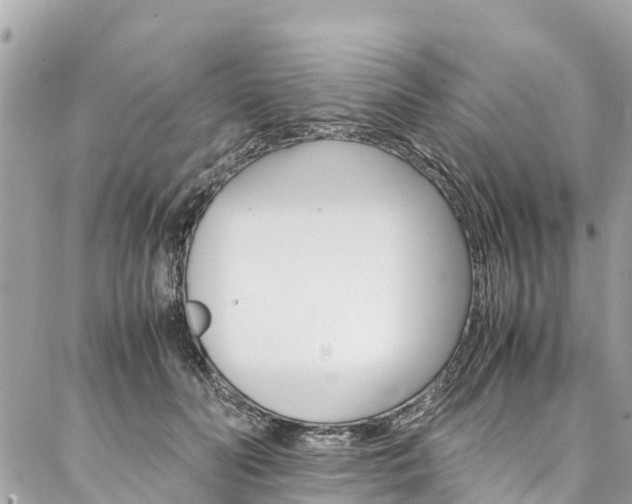 X0000086890606200704161007