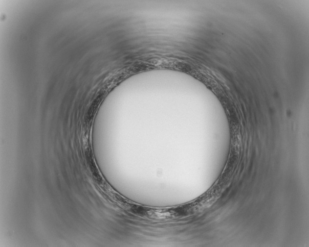 X0000086890607200704161007