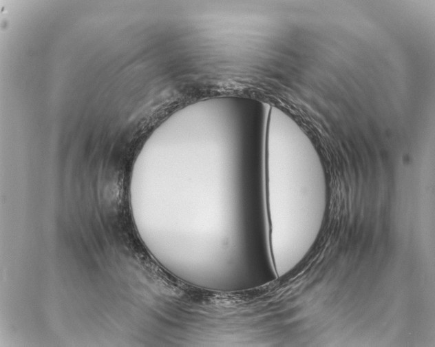 X0000086890608200704161007