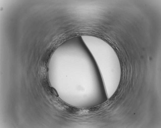 X0000086890609200704161007