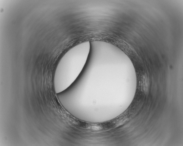 X0000086890610200704161007