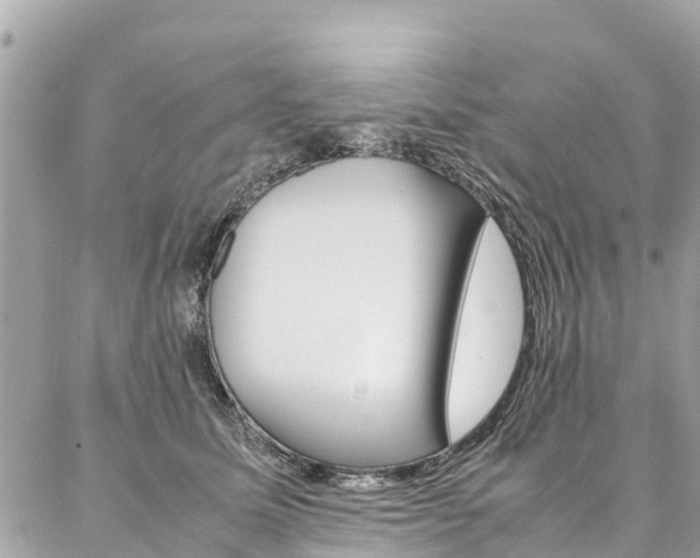 X0000086890611200704161007