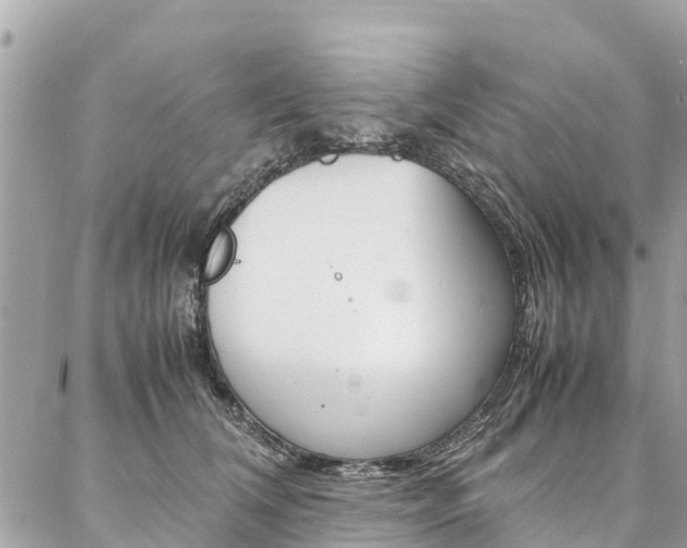 X0000086890612200704161007