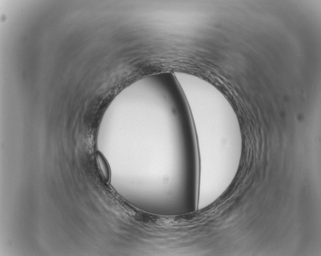 X0000086890613200704161007