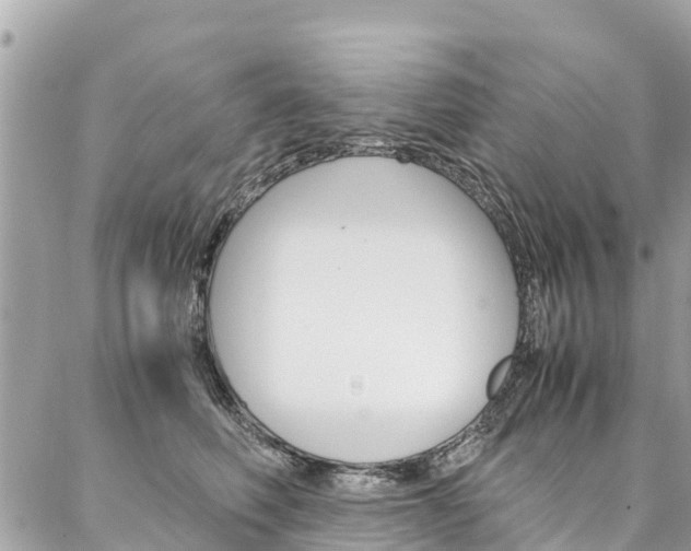 X0000086890614200704161007