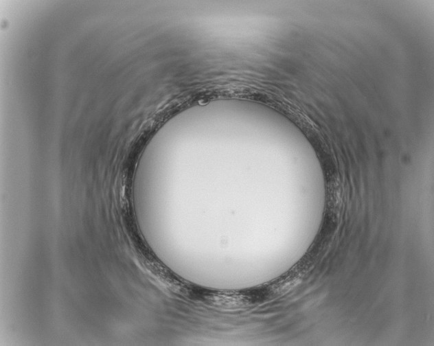 X0000086890615200704161007