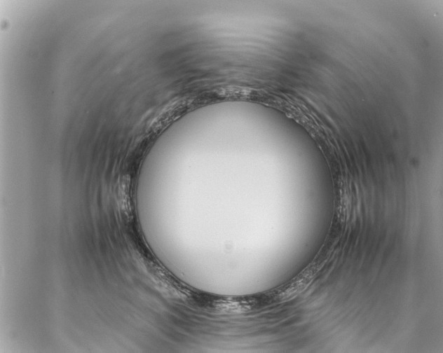 X0000086890616200704161007