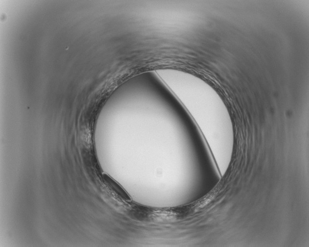 X0000086890617200704161007