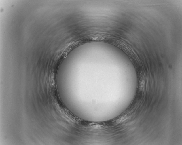 X0000086890620200704161007