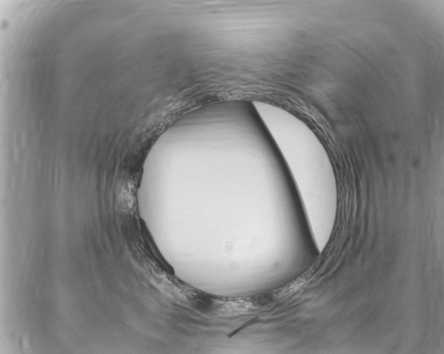 X0000086890621200704161007