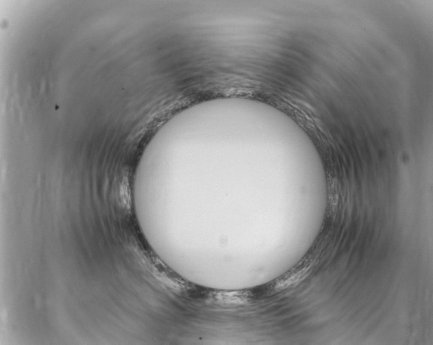 X0000086890622200704161007