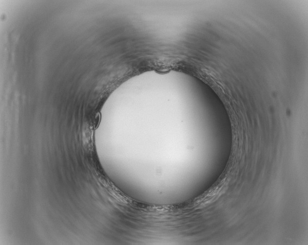 X0000086890624200704161007