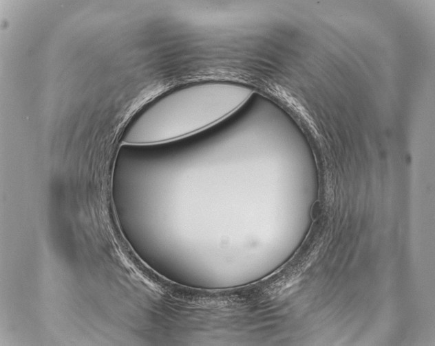 X0000086890625200704161006