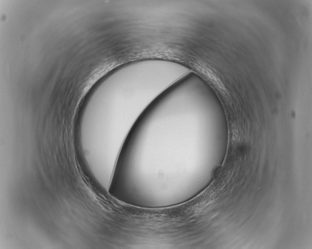 X0000086890626200704161006