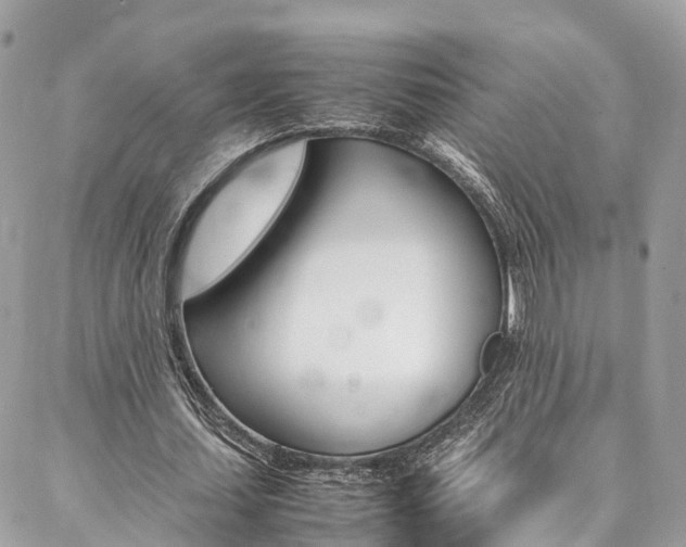 X0000086890627200704161006