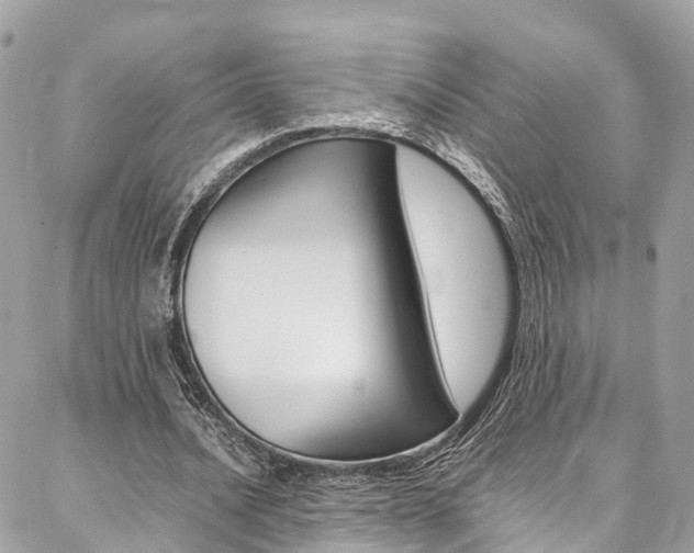 X0000086890628200704161006