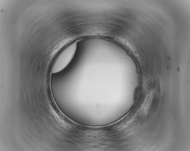 X0000086890629200704161006