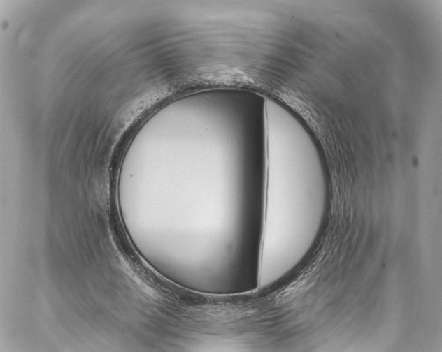 X0000086890630200704161006