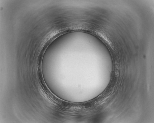 X0000086890631200704161006